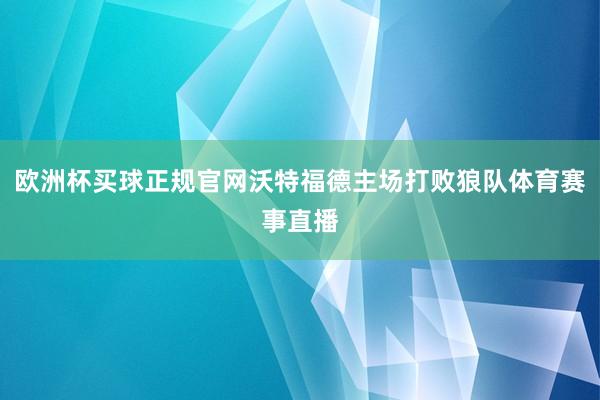 欧洲杯买球正规官网沃特福德主场打败狼队体育赛事直播