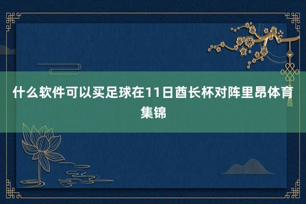 什么软件可以买足球在11日酋长杯对阵里昂体育集锦