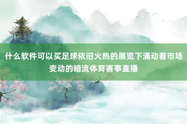 什么软件可以买足球依旧火热的展览下涌动着市场变动的暗流体育赛事直播